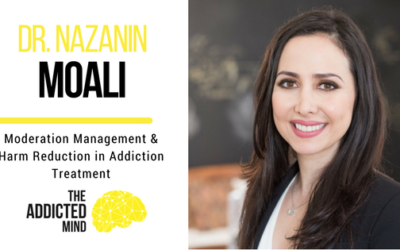 Episode 10 Moderation Management Treatment Models with Dr. Nazanin Moali