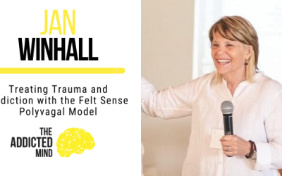 Treating Trauma and Addiction with the Felt Sense Polyvagal Model with Jan Winhall
