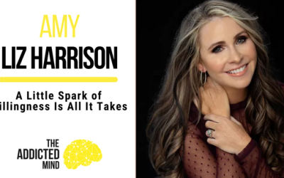 A Little Spark of Willingness Is All It Takes with Amy Liz Harrison