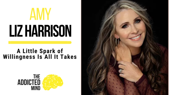 A Little Spark of Willingness Is All It Takes with Amy Liz Harrison