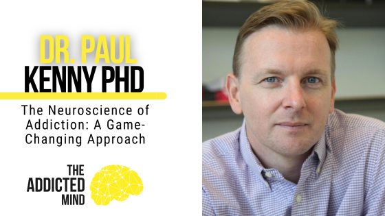 Episode 251: The Neuroscience of Addiction: A Game-Changing Approach with Dr. Paul Kenny
