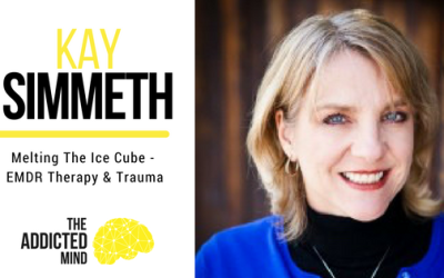 Episode 314 – Melting The Ice Cube – EMDR & Trauma with Kay Simmeth