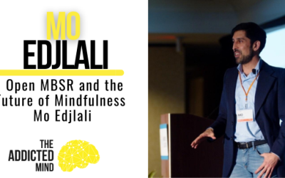 Episode 352: Open MBSR and the Future of Mindfulness with Mo Edjlali