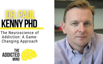 Episode 369: The Neuroscience of Addiction: A Game-Changing Approach with Dr. Paul Kenny